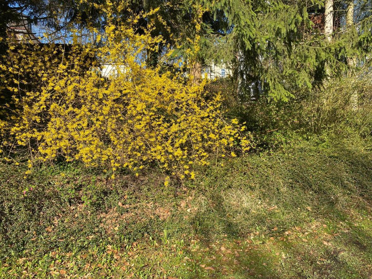 Ferienwohnung Sternenhimmel Lichtenberg  Kültér fotó
